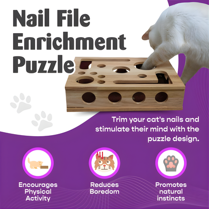 MindPaws™ Enrichment Box