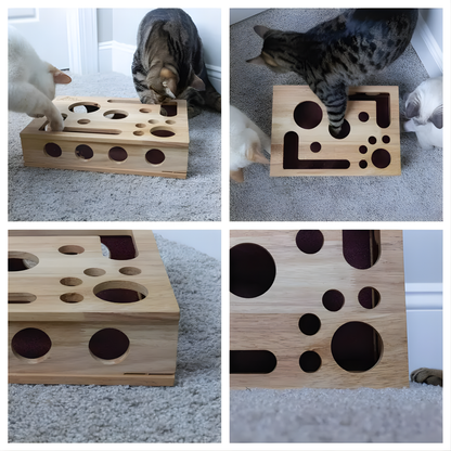 MindPaws™ Enrichment Box